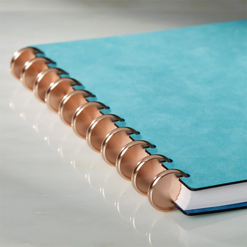 Aluminum Circa Notebook Discs (set of 11) - Image 16