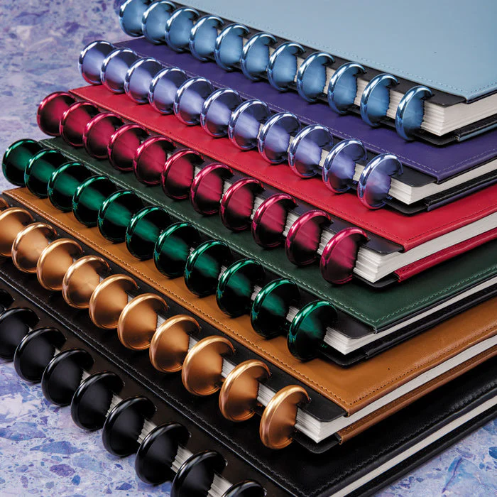 Aluminum Circa Notebook Discs (set of 11) - Image 2