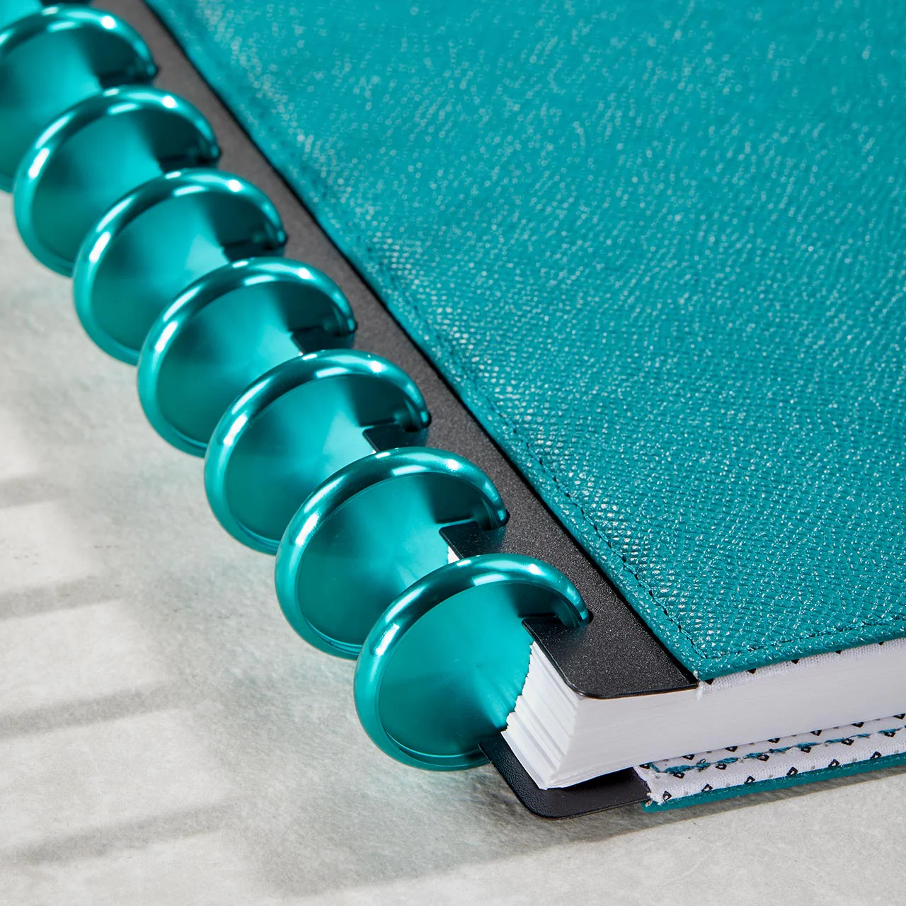 Aluminum Circa Notebook Discs (set of 11) - Image 24
