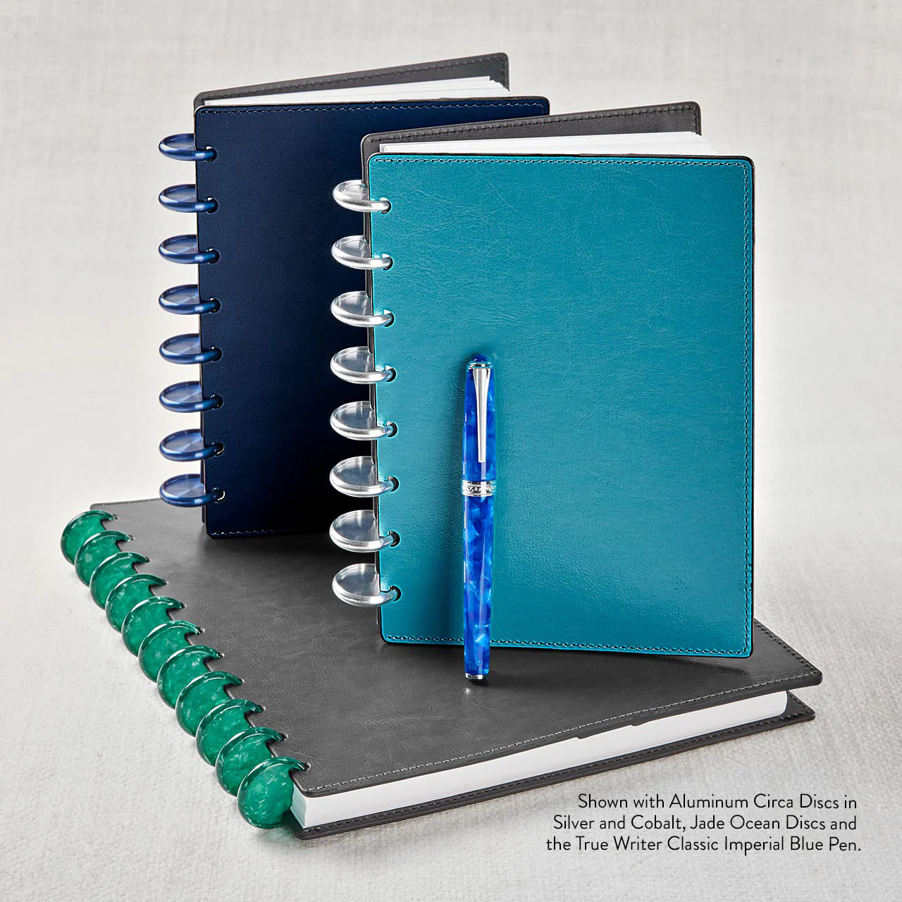 Aluminum Circa Notebook Discs (set of 11) - Image 31