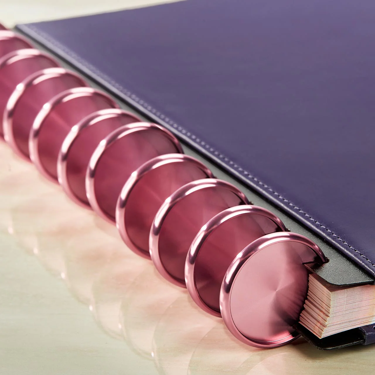 Aluminum Circa Notebook Discs (set of 11) - Image 6