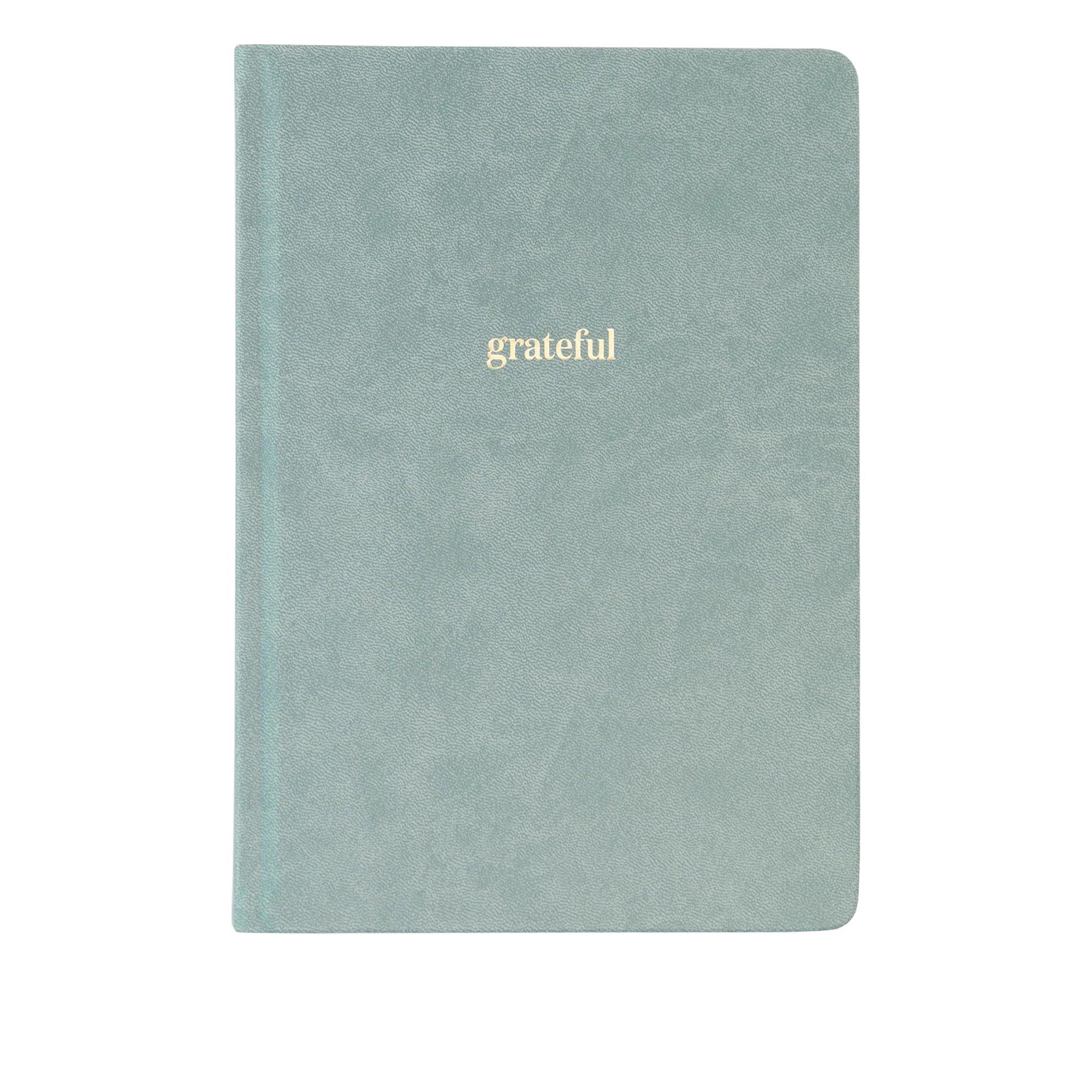 Ink+Volt Gratitude Journal - Image 5