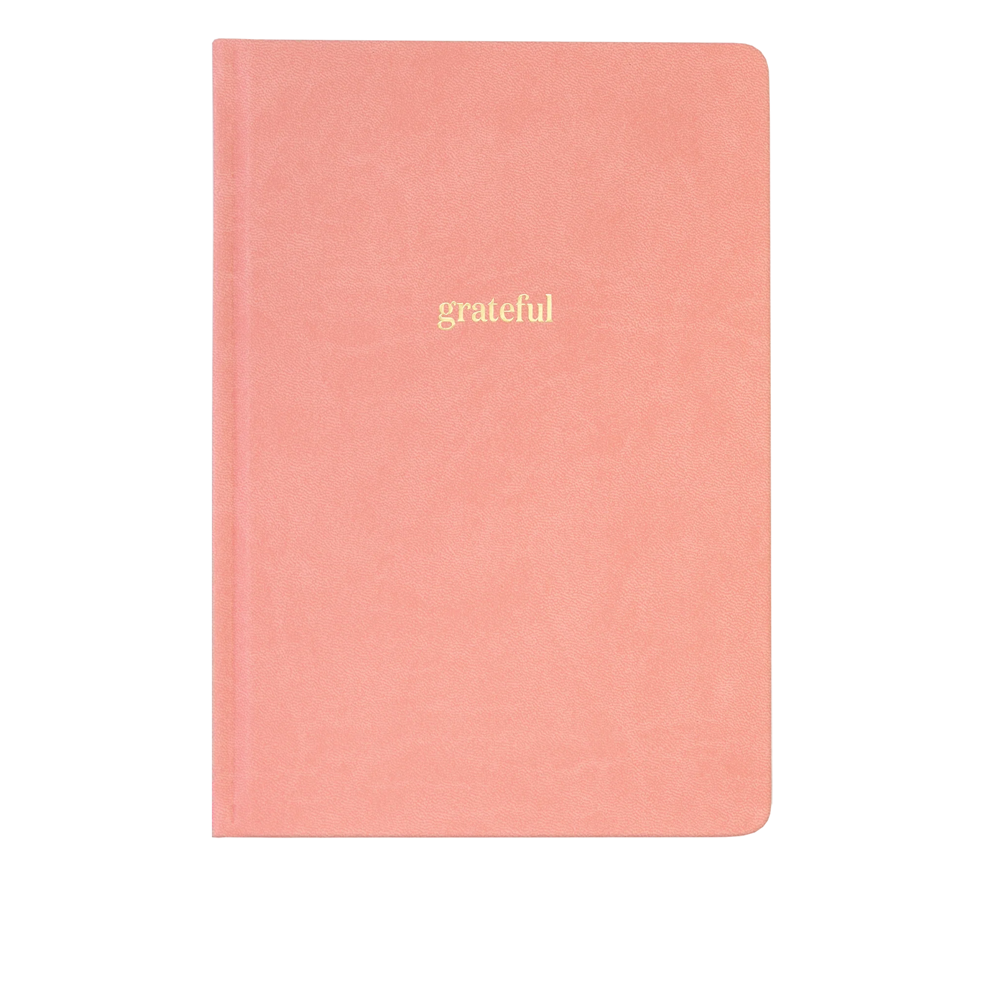 Ink+Volt Gratitude Journal - Image 6