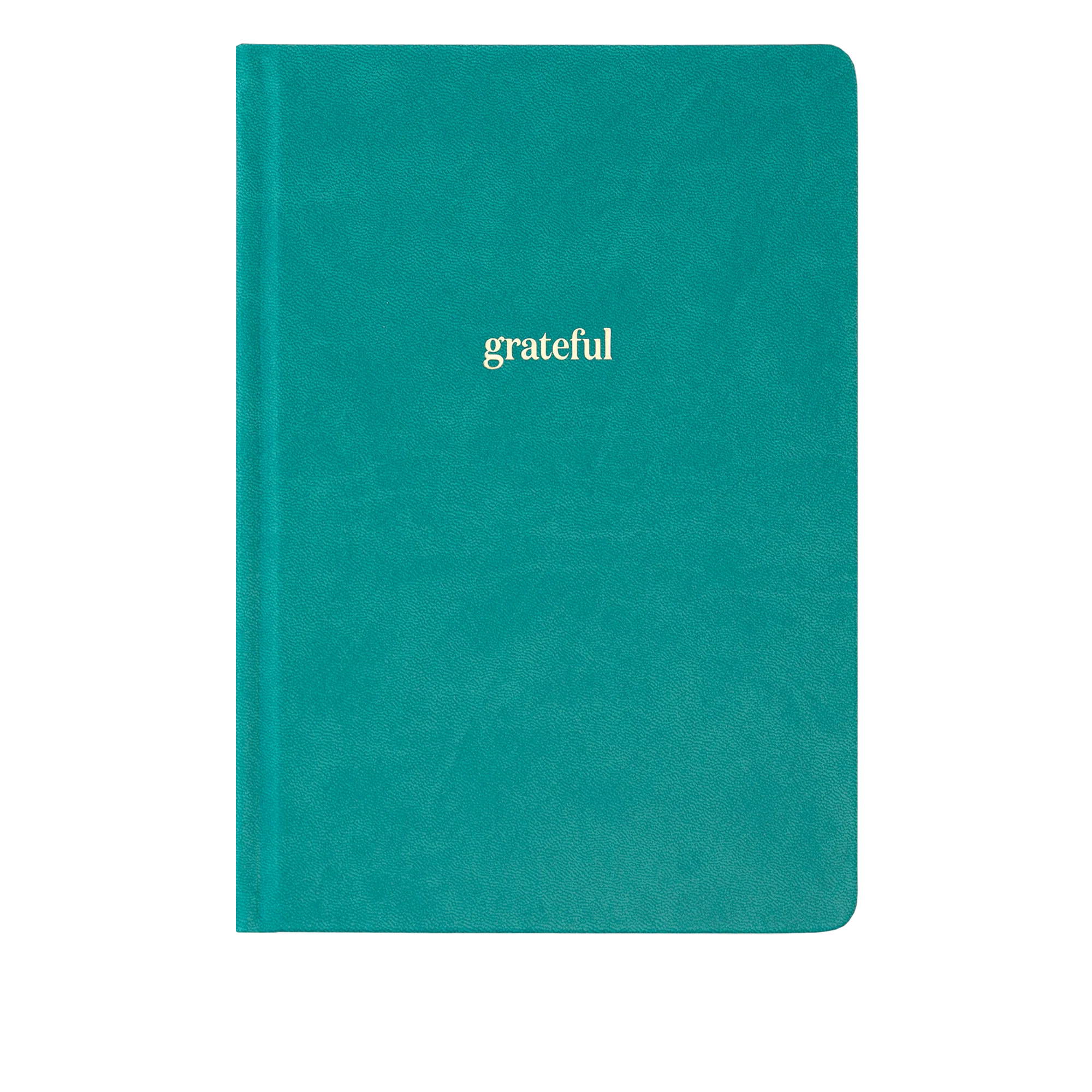 Ink+Volt Gratitude Journal - Image 7