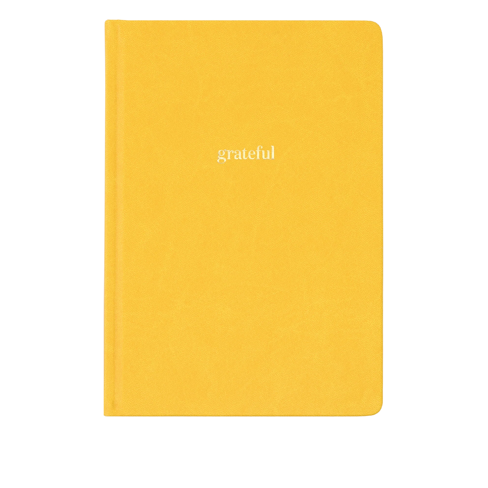 Ink+Volt Gratitude Journal - Image 9